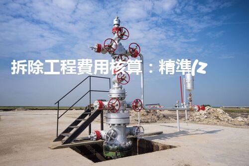 拆除工程費用核算：精準(zhǔn)預(yù)算，保障利潤